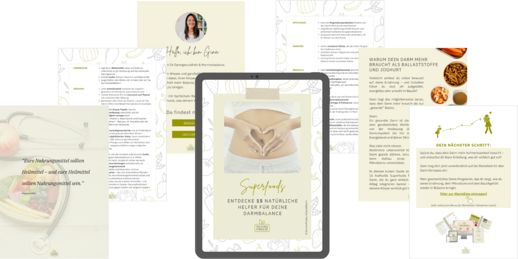 Mockup zur Visualisierung des PDFs "15 Superfoods für deinen Darm"